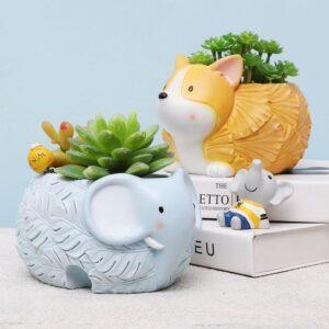 decor tiết kiệm theo mùa