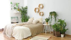 kết hợp cây xanh trang trí