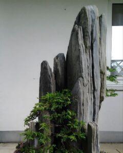 Đổi phong thủy nhà