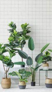 trang trí nhà tiết kiệm