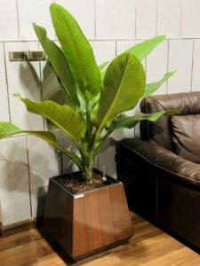 vị trí cửa phong thủy