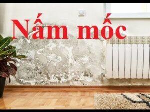 chống ẩm nội thất