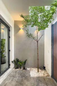 nhà nhỏ sống chất